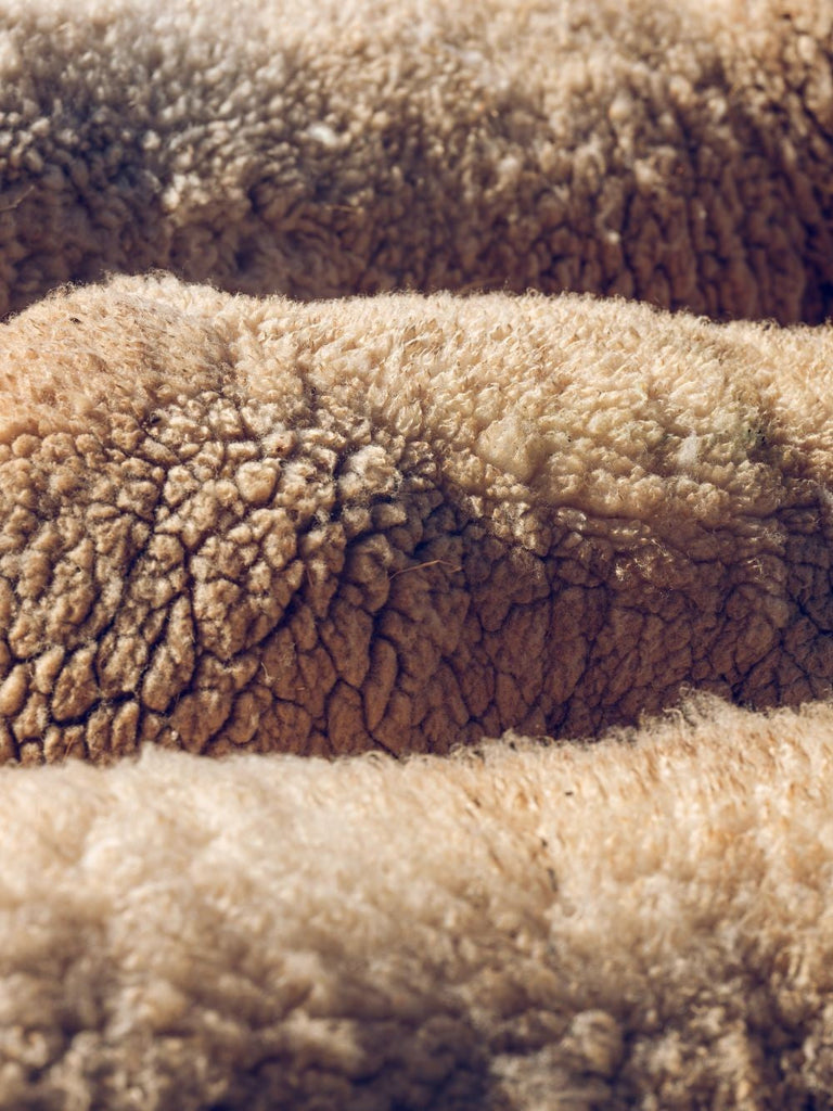 Merinó gyapjú: miért viseljük és hogyan kell ápolni?